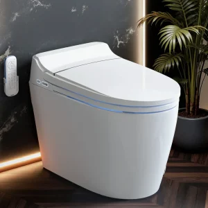 Smart Toilet with Tankless Bidet